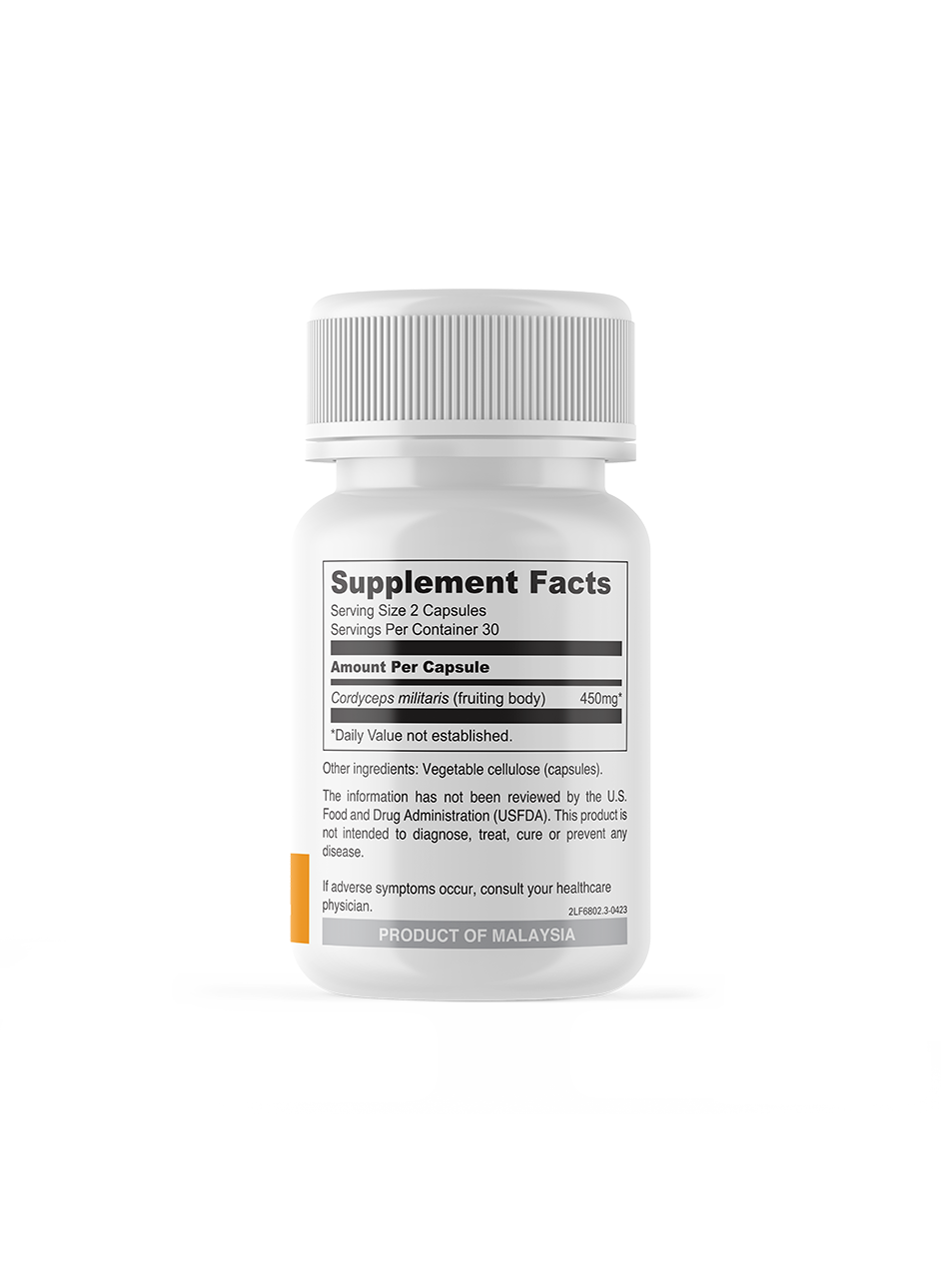 Body - Cordyceps | Energy mushroom